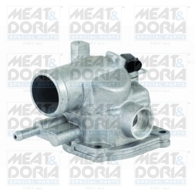 Thermostat, coolant